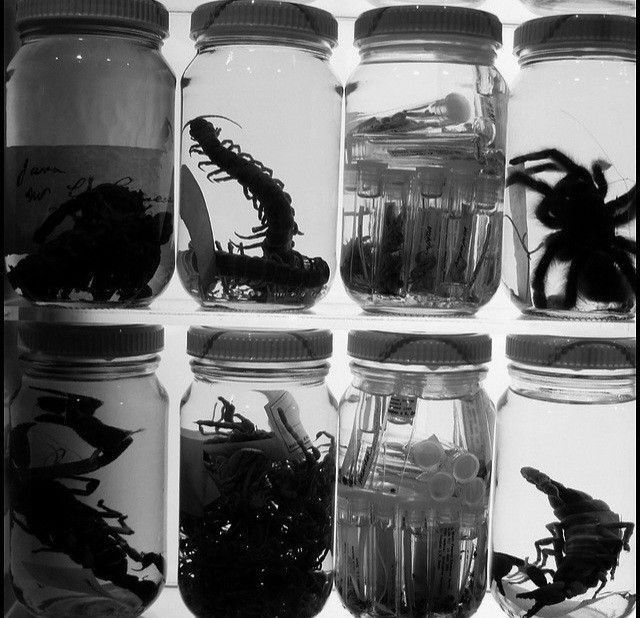 What isn’t living can’t really&nbsp;die