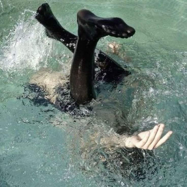 Rock bottom, 8:32pm: A truly George Costanza&nbsp;moment